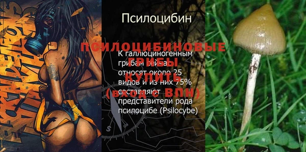 твердый Нестеровская