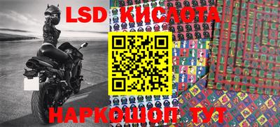 mdpv Камышлов
