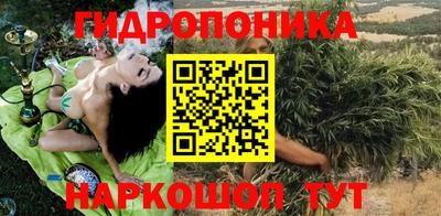 спайс Берёзовский