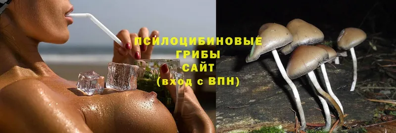 MEGA ССЫЛКА  дарнет шоп  Уфа  Псилоцибиновые грибы Cubensis 