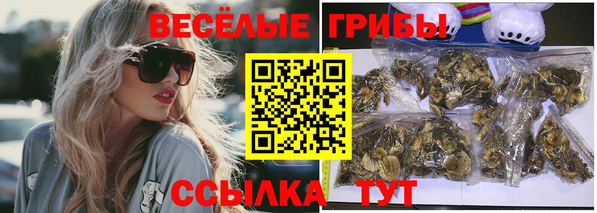 Псилоцибиновые грибы мухоморы Уфа