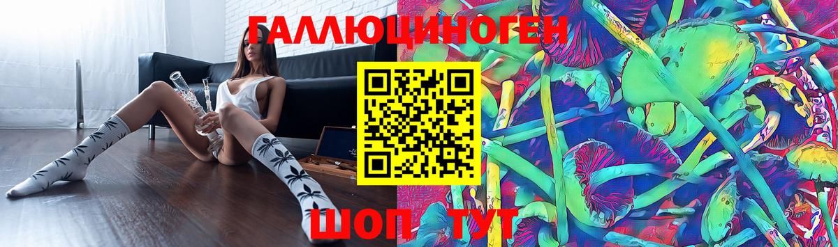 Псилоцибиновые грибы Psilocybine cubensis  Уфа 